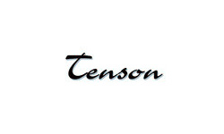 Photo annonce Guitare Tenson & etui fourni