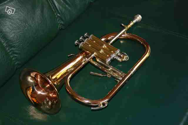 Photo annonce Bugle Semi Professionnel Sib Zeff