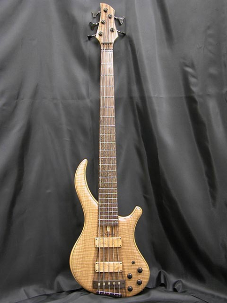 Photo annonce BASSE NOGUERA 5 CORDES EXPRESSION PLUS CUSTOM