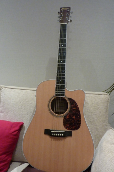 Photo : ELECTRO ACOUSTIQUE MARTIN DC AURA 16RGTE