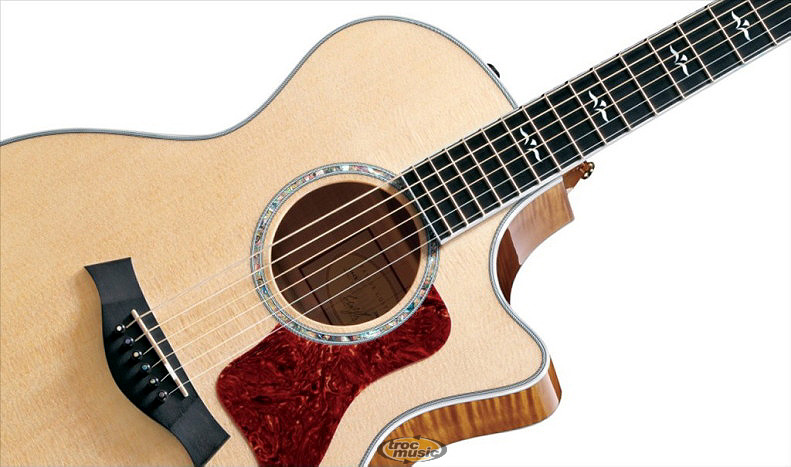Photo annonce Guitare TAYLOR Electro Acoustique 614 CE