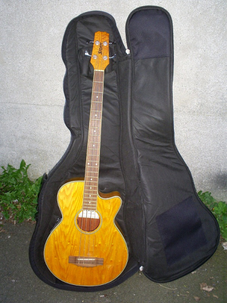 Photo annonce Basse electro acoustique Storm & Housse