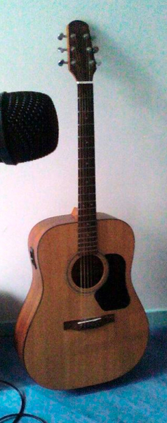 Photo annonce Guitare Folk Walden D310 TK