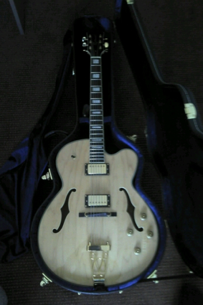 Photo annonce Guitare   Jazz   Richwood RE 450