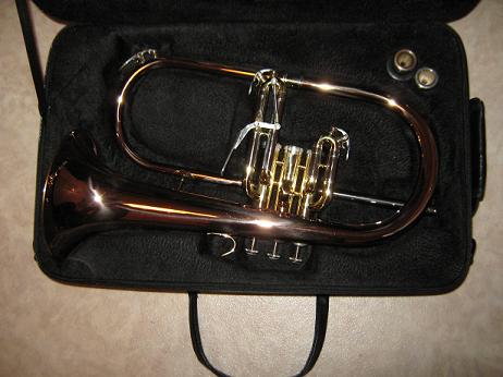 Photo annonce Bugle     Sib     Zeff