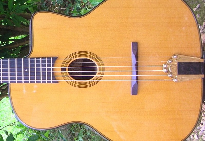 Photo annonce Guitare  Manouche GITANE DG 255 & Housse