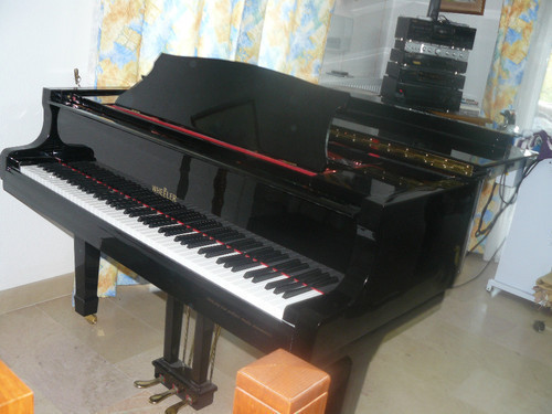 Photo annonce PIANO   a   QUEUE wheeler