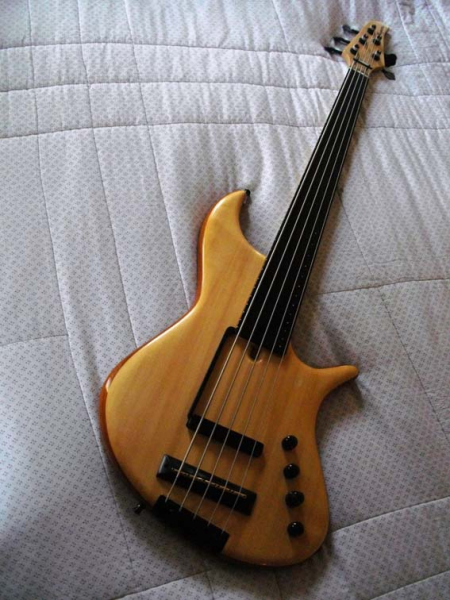 Photo annonce Basse Fretless 5 c Noguera YC semi acoustique