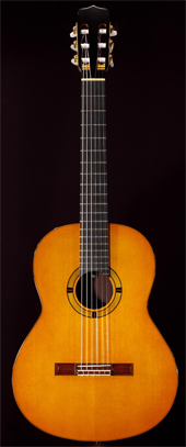 Photo annonce Guitare  luthier  Stephan Schlemper