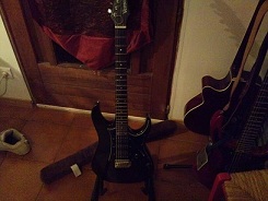 Photo annonce Venson Custom Craft type Ibanez