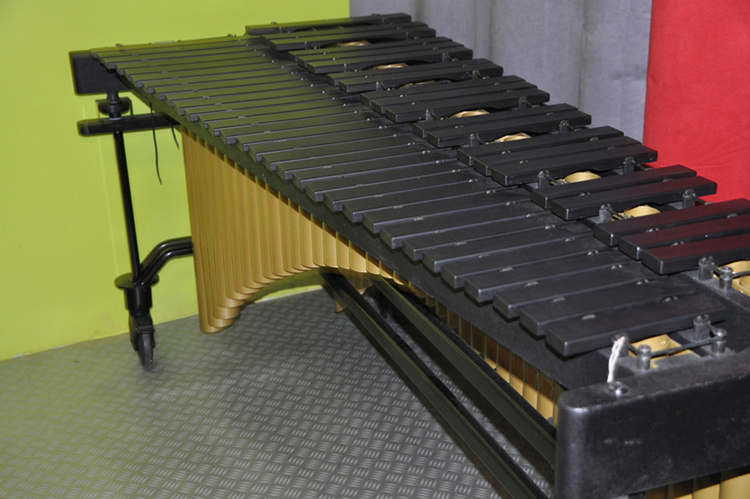 Photo : Marimba          PREMIER CONCERT
