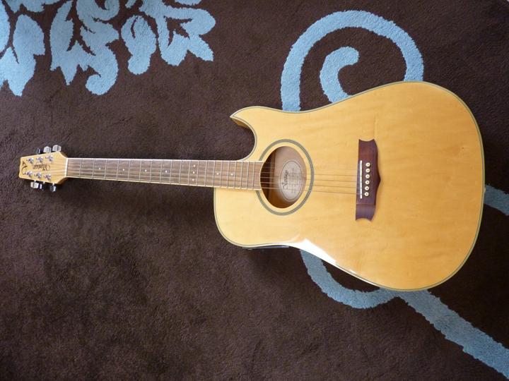 Photo annonce Guitare electro acoustique Vantage VST40CEQM