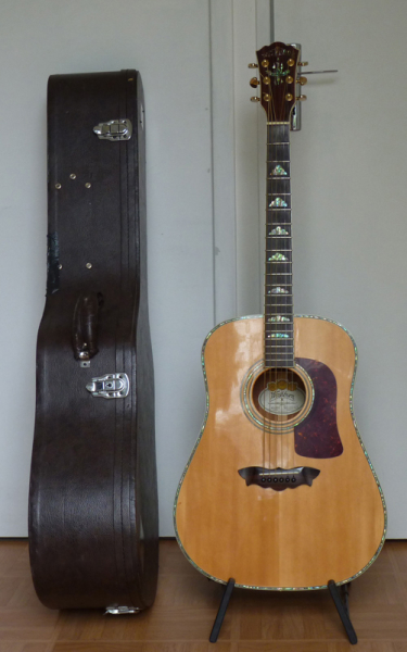 Photo annonce WASHBURN   FOLK  + ETUI + FISHMAN
