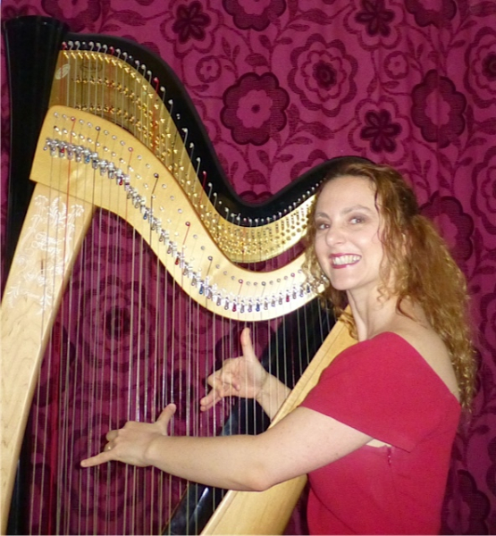 Photo annonce Cours HARPE CELTIQUE & CLASSIQUE a VERSAILLES