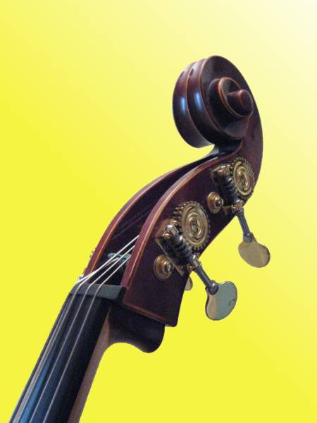 Photo annonce Cours de Contrebasse & Guitare Basse