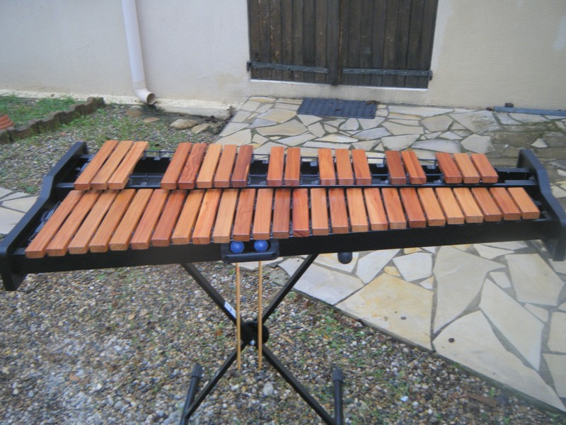 Photo annonce Xylophone d etude Rythmes & sons