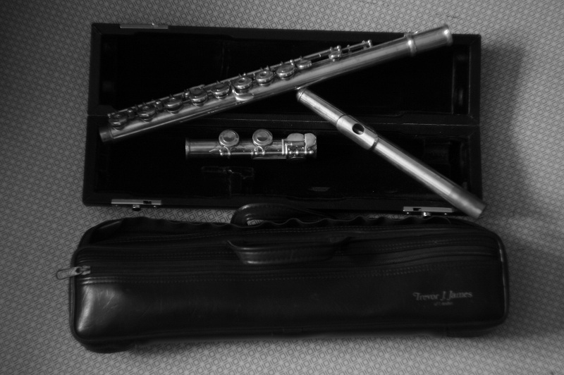 Photo annonce Flute Taversiere en metal Trevor J James