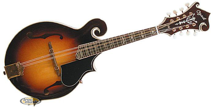 Photo annonce Mandoline Ozark 2255 type f Piezo Fishman M