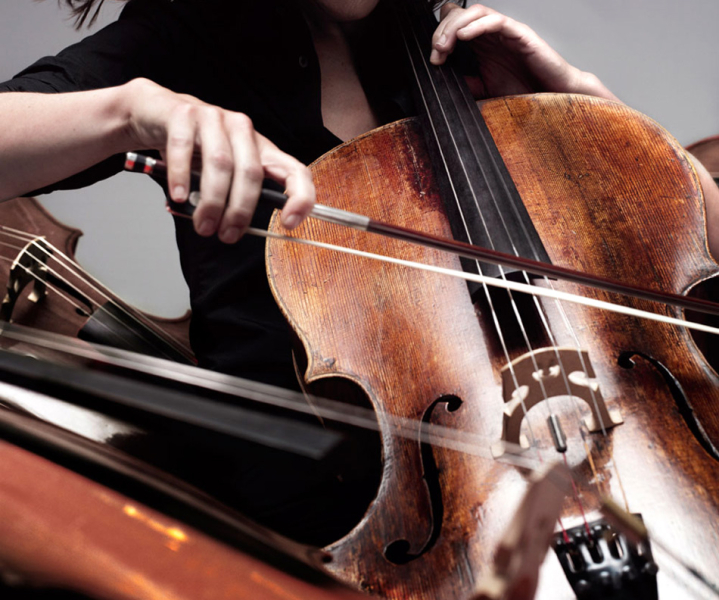 Photo annonce Chanteurs Lyriques Violoncelliste pour Concert