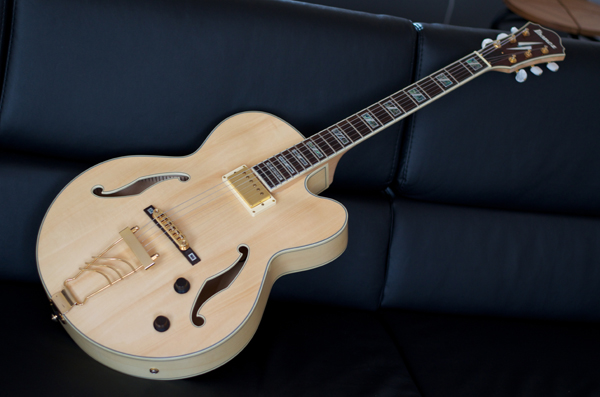 Photo annonce Ibanez Pat Metheny PM35 NT