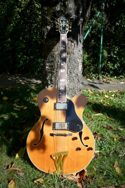 Photo annonce Washburn    J   6S Montgomery Jazz Box Hollowbod