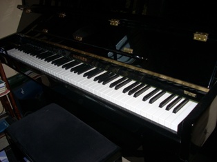 Photo annonce PIANO HOHNER HP  112
