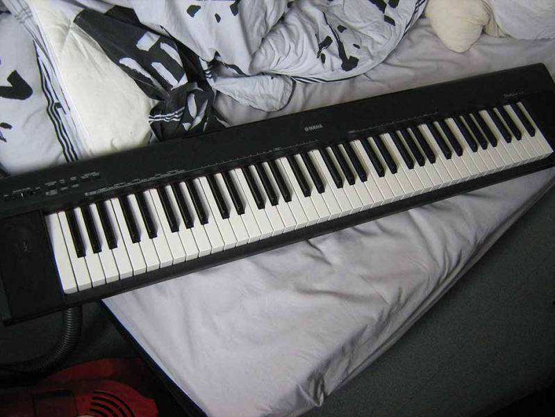 Photo annonce Yamaha Grand NP 30  Portable