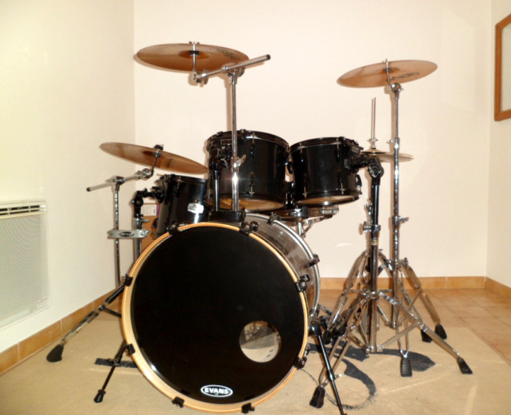 Photo annonce Pearl   Export   avec peaux evans