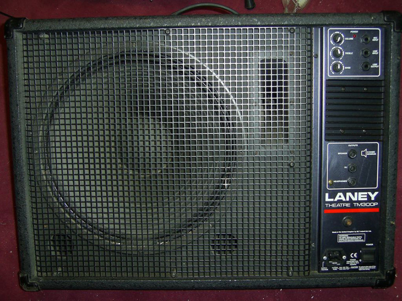 Photo annonce Enceinte amplifiee de 300W Laney TM300P
