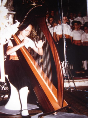 Photo annonce HARPE  CELTIQUE  OCCASION 34 CORDES