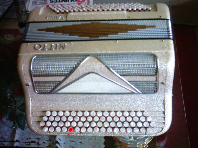 Photo annonce Accordeon 120 Basses Nitto