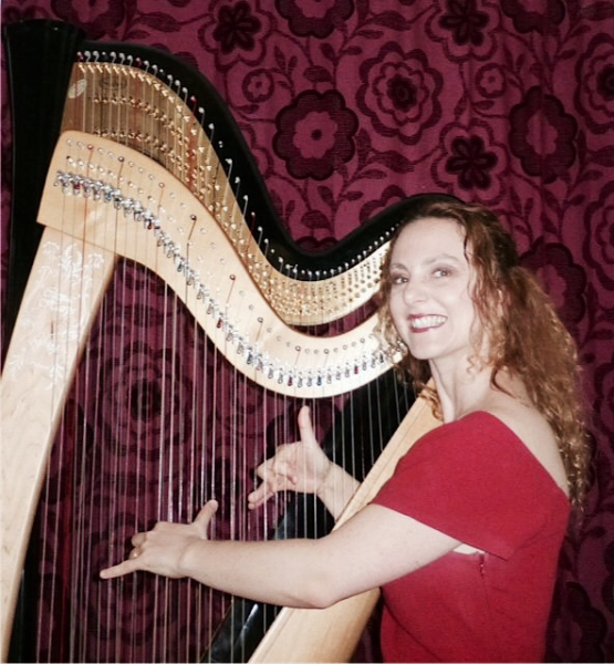 Photo : Cours HARPE CELTIQUE & CLASSIQUE a VERSAILLES