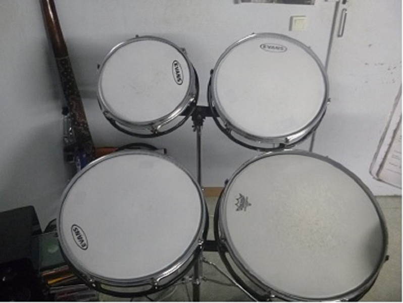 Photo annonce Rototom   Remo   batterie