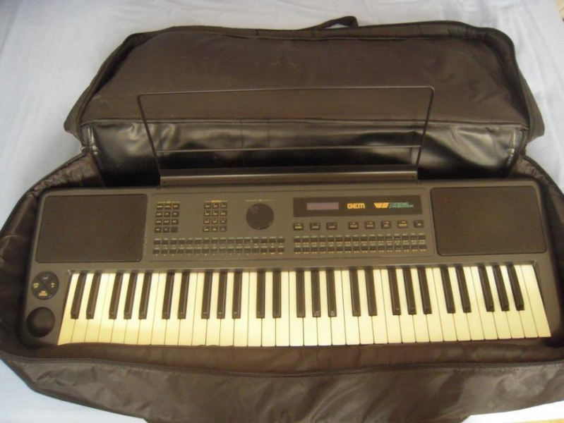 Photo annonce Clavier arrangeur GEM WS1 D