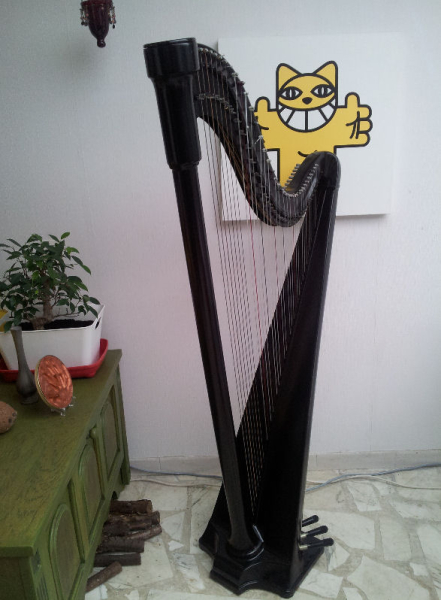 Photo : Harpe            Budin Pandora Pedales 36 cordes