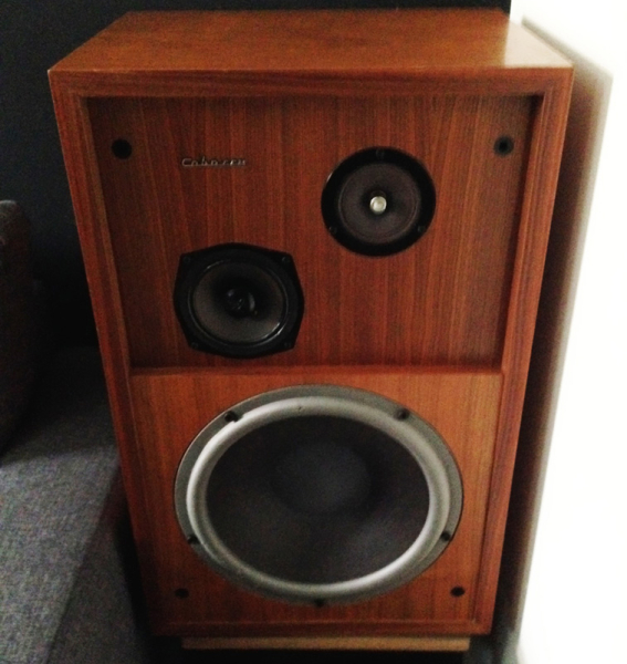 Photo annonce Cabasse         Sampan 310 M17