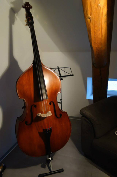 Photo annonce Contrebasse d etude 3 4 Sebim Schiltigheim