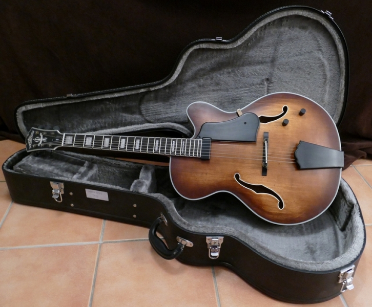 Photo annonce Washburn       J600 Guitare Jazz + etui rigide