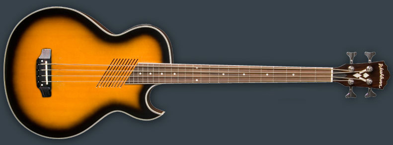 Photo annonce Washburn       AB10 bass accoustic