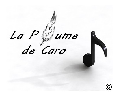 Photo : Auteur paroliere pour compositeur interprete