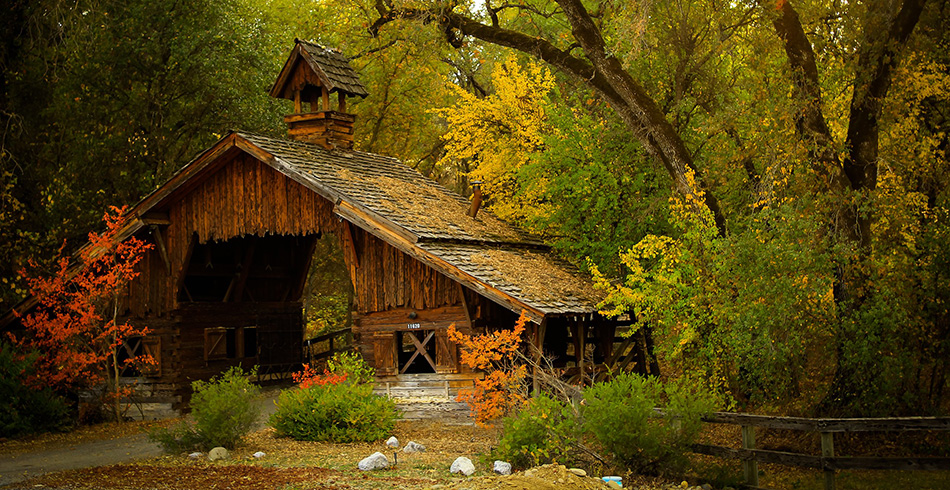 Photo : Chansons en Francais pour Chanteuse