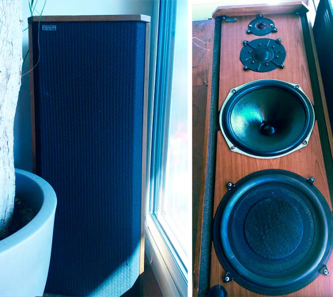 Photo : Celestion        Ditton 66 Monitor 1977 Revises