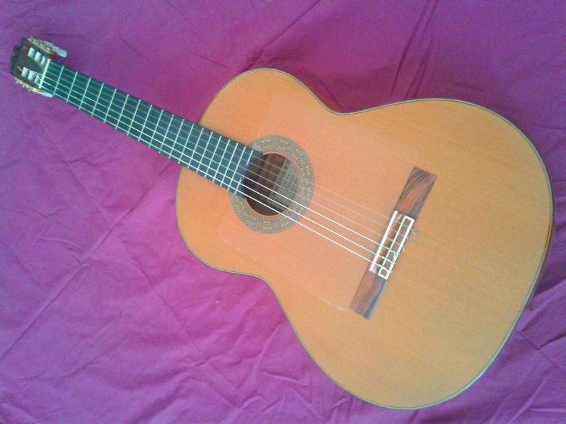 Photo : Esteve       1GR12 cedre