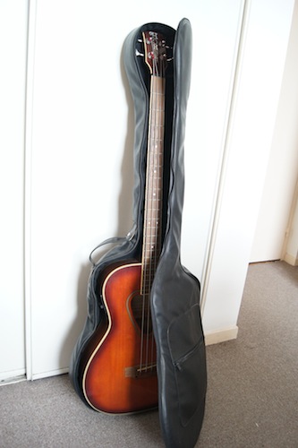 Photo : Basse     electroacoustique Hohner avec Housse