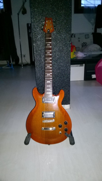 Photo : LAG    ROXANE    avec 2 jeux de cordes Ernie ball