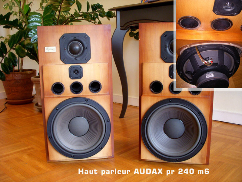 Photo : Enceinte HI FI SELAC HP AUDAX pr 240