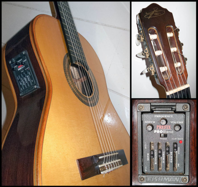Photo : Classique Electro Acoustique Giannini bresilienne