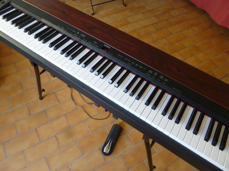 Photo : YAMAHA        P155 toucher lourd 88 touches