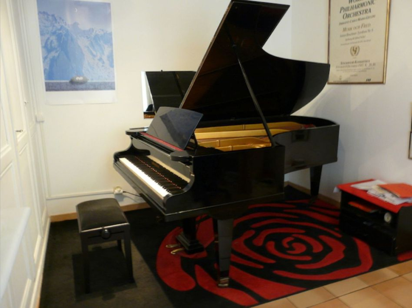 Photo : Piano a queue C  Bechstein de 1906