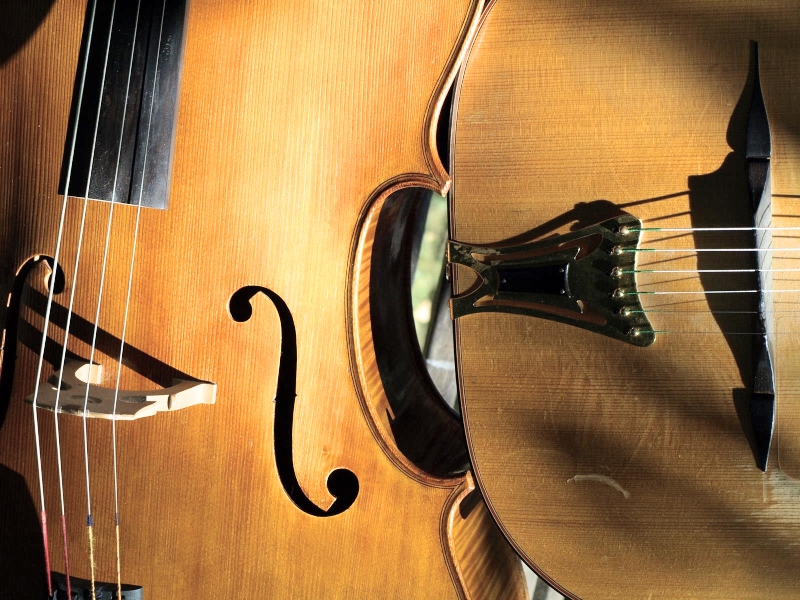 Photo : Duo Violoncelle & Guitare pour vos animations